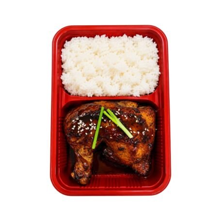 JkaS Bento meal 1